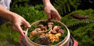 Кулінари поділилися рецептом соління грибів без варіння та оцту