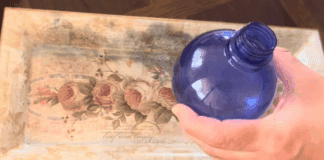 Експерти розповіли, як приготувати натуральний засіб від бліх та кліщів