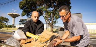 Городники розповіли про безплатний інструмент для захисту ґрунту