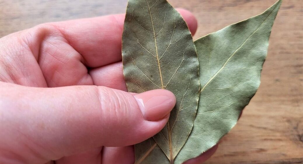 Кидаю 3 лаврушки у шафу з білизною – і запах тримається тижнями, як у дорогому готелі. Скарб за “3 копійки” 