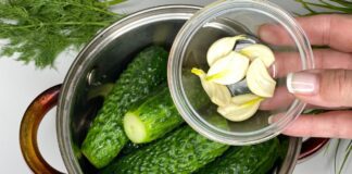 Як приготувати хрусткі малосольні огірочки