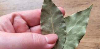 Як створити приємний аромат у шафі