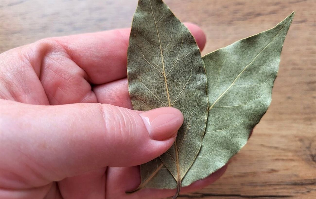 Як створити приємний аромат у шафі