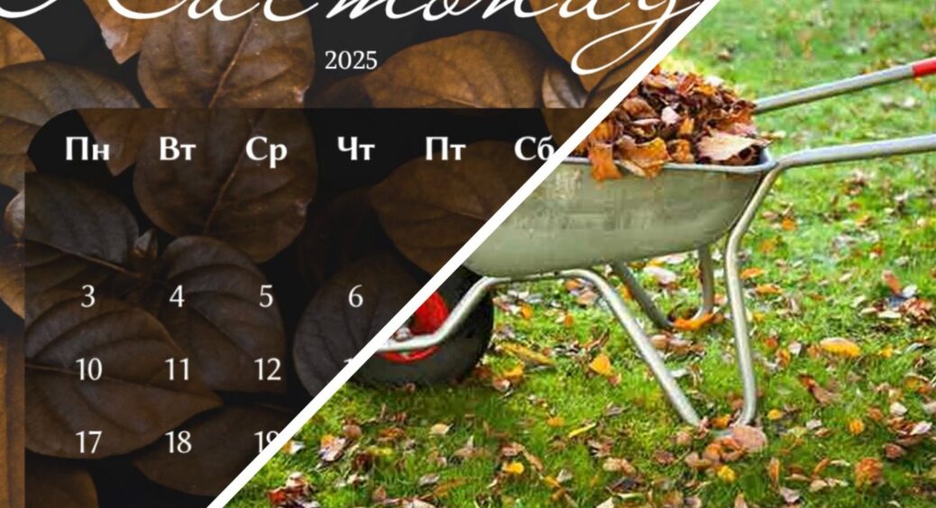 На вулиці +4°, а у мене — повний список справ: дачний листопад ніколи не буває нудним. Саме час навести лад 