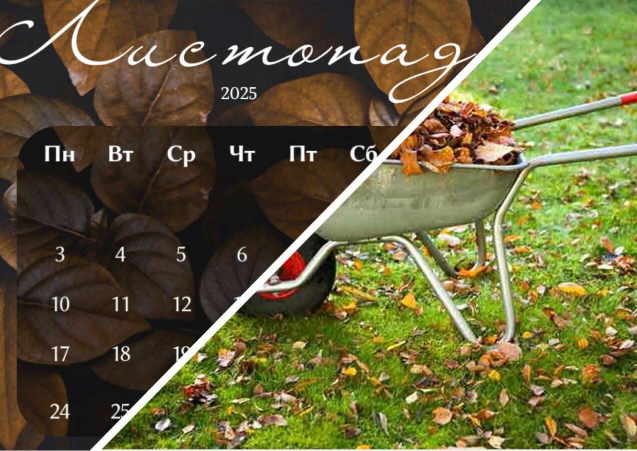 Городники розповіли про основні роботи на дачі в листопаді