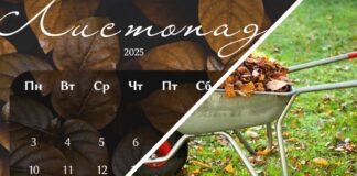 Городники розповіли про основні роботи на дачі в листопаді