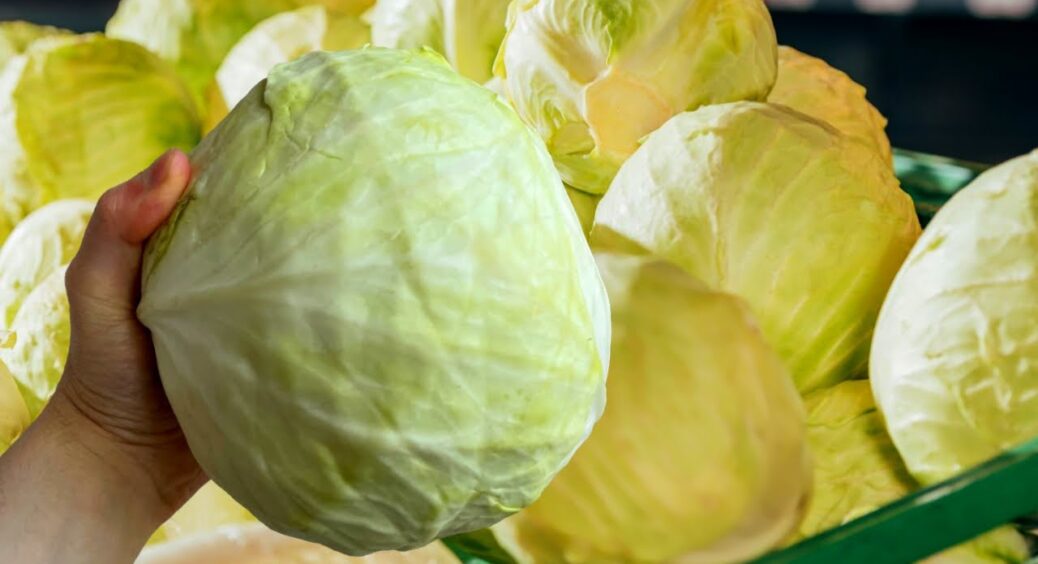 Сусідка-дачниця підказала, де зберігати капусту, якщо нема льоху – 6 найкращих місць: пролежить усі 365 днів 