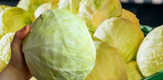 Господині пояснили, чим корисний лавровий лист при зберіганні капусти