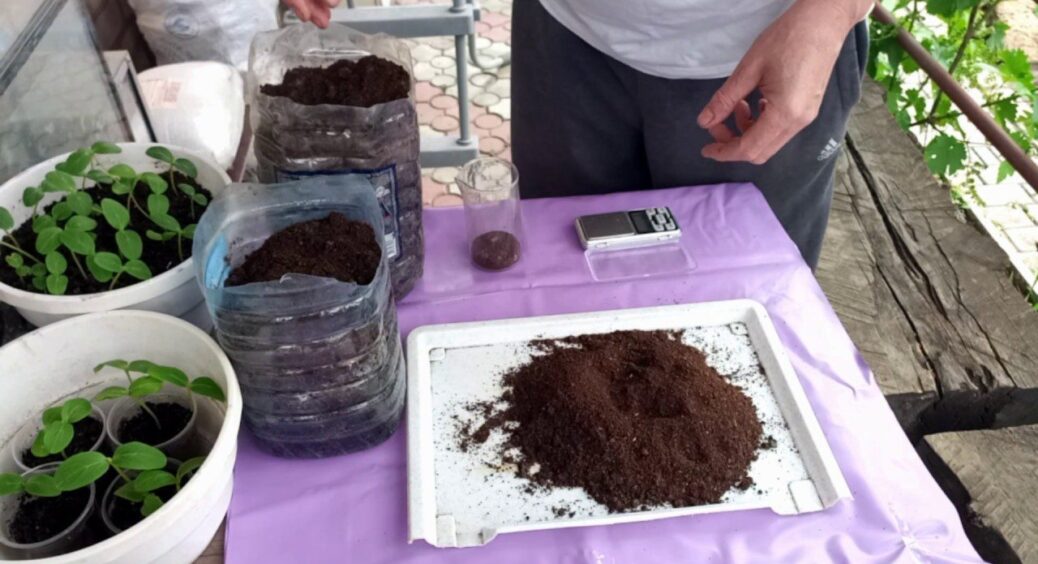 Кава замість добрива: підслухала на базарі, як кавова гуща перетворить сад і город до невпізнаваності 