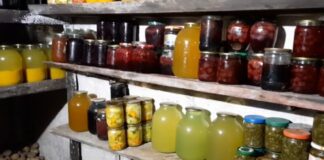 Дачники розповіли, як легко прибрати вогкість та конденсат у льоху