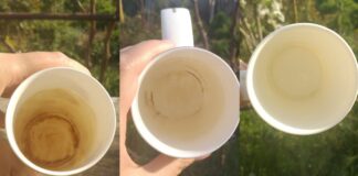 Господині розповіли, як і чим можна швидко відмити чайний наліт на чашках