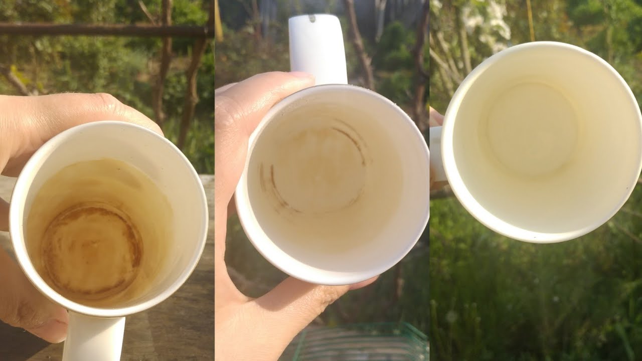 Господині розповіли, як і чим можна швидко відмити чайний наліт на чашках