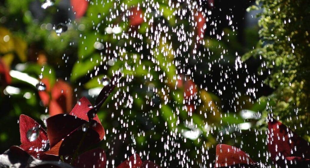 Не сміття, а справжнє золото: спалюю ці “відходи”, заливаю їх водою та поливаю городню ділянку у листопаді 