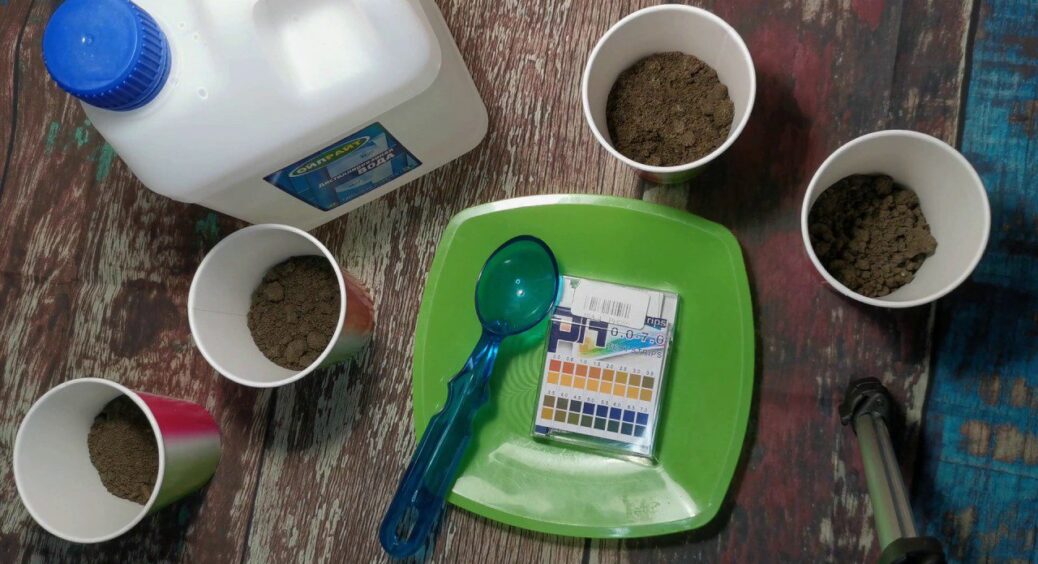 Кум-агроном із 40-річним стажем підказав, як швидко дізнатися кислотність ґрунту – знадобиться 2 інгредієнти 