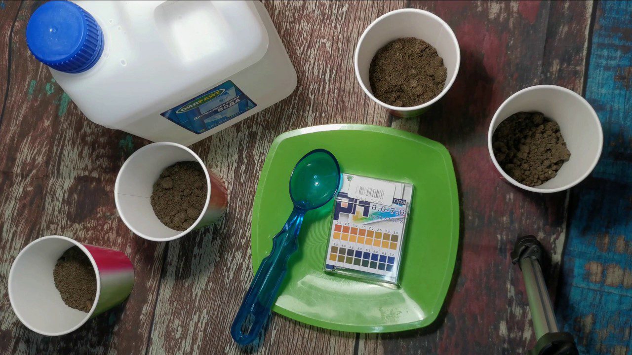 Агрономи розповіли, як дізнатися кислотність ґрунту за допомогою оцту та соди