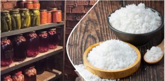 Дачники розповіли, як без зайвих зусиль позбутися вологості в льоху