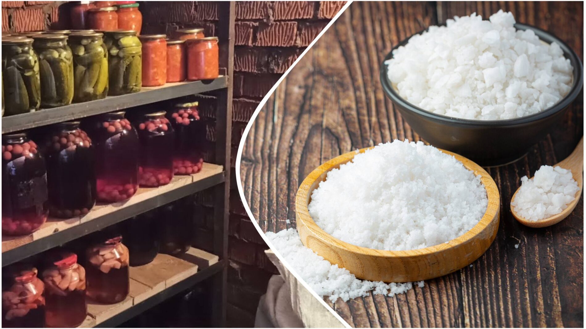 Дачники розповіли, як без зайвих зусиль позбутися вологості в льоху