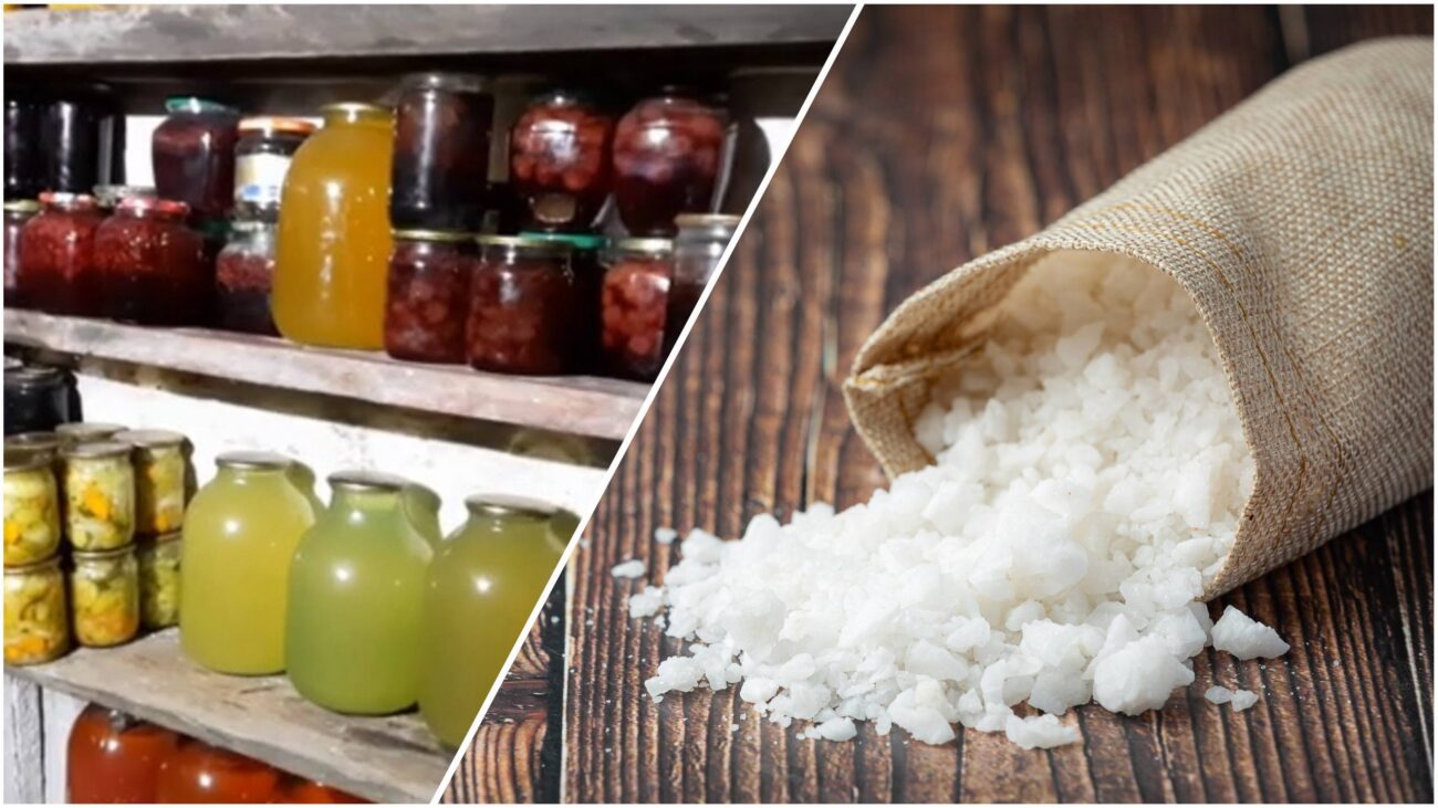 Дачники розповіли, як без зайвих зусиль позбутися вологості в льоху