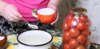 Кулінари розповіли, як приготувати дуже смачні помідори в медовому маринаді