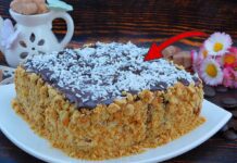 Як приготувати торт без випічки зі сметанковим кремом