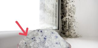 Господині розповіли, як захистити вікна від плісняви та вологості 
