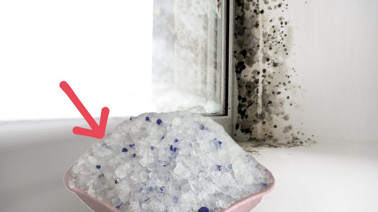 Господині розповіли, як захистити вікна від плісняви та вологості 