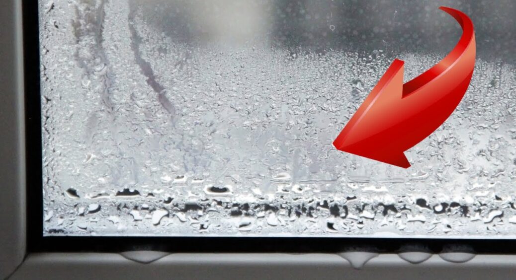 Конденсату на вікнах більше не видно: просто поклала “це” на підвіконня – і через 2 години проблема зникла 