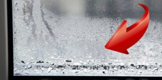 Досвідчені господині розповіли, як легко позбутися конденсату на вікнах