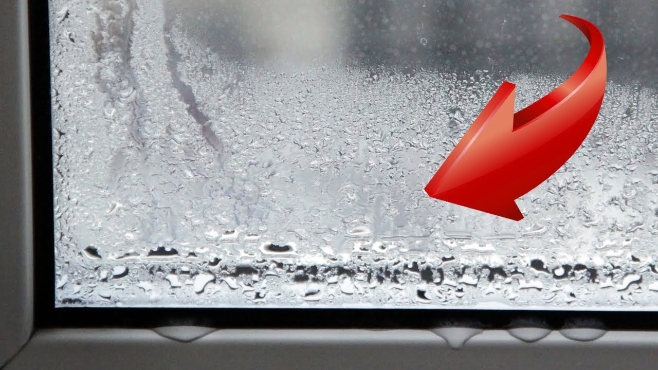 Досвідчені господині розповіли, як легко позбутися конденсату на вікнах