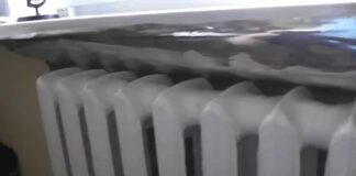 Експерти розповіли, як перетворити картопляне лушпиння на добриво