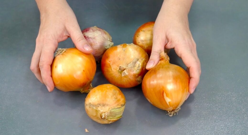 Зберігаю цибулю до літа без втрат: пересипаю цим завжди – і жодної гнилої головки за 8 місяців 