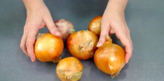 Експерти розповіли, як зберегти цибулю свіжою, сухою й ароматною  