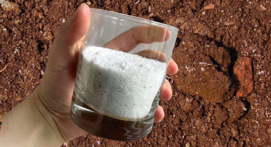 1 склянка замінить 20 кг гною: розкидаю “це” по першому снігу – і ґрунт у 1000 разів крутіший за чорнозем 