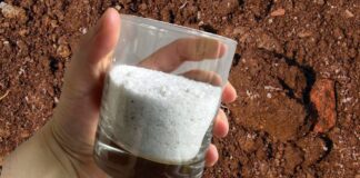 Агрономи розповіли, що необхідно обов'язково розкидати по ґрунту в листопаді