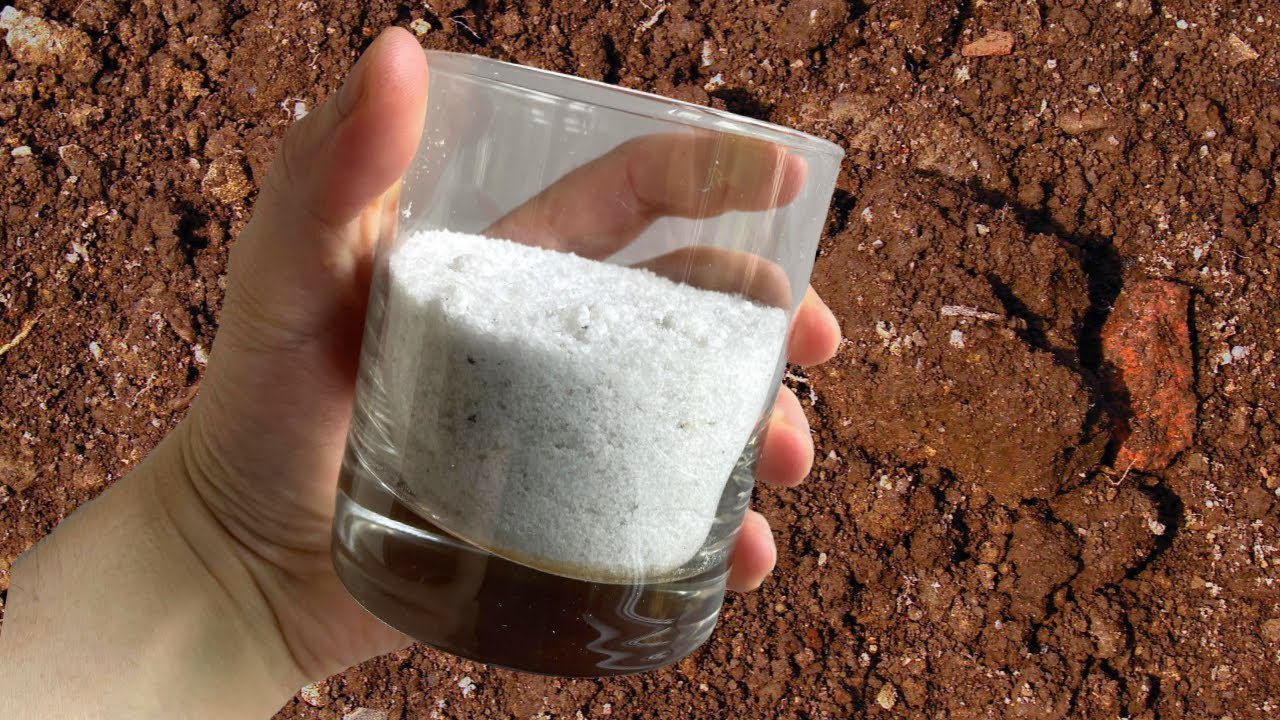 Агрономи розповіли, що необхідно обов'язково розкидати по ґрунту в листопаді