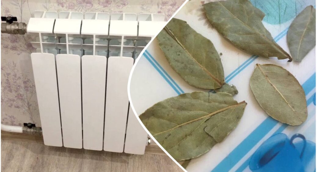 3 лаврушки під матрац, а по 2 – на батарею і в шафу: тепер лавровий лист купляю по 10 пачок, бо є ефект 