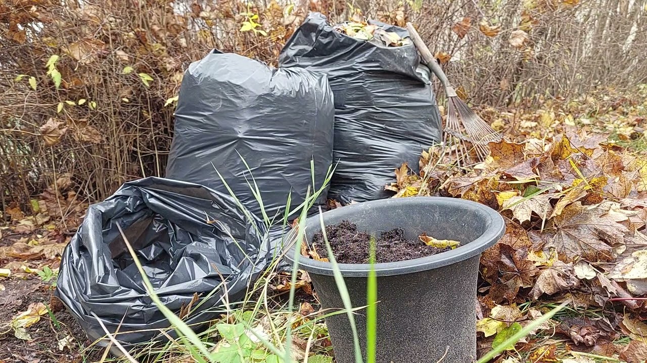 Городники розповіли, як із опалого листя зробити якісне добриво