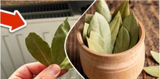 Господині розповіли, як використати лаврове листя у побуті