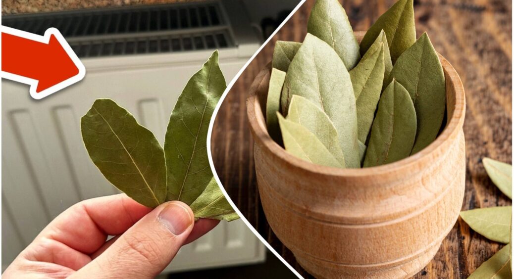 Розумні господині купують додому по 5 пачок лаврушки за раз: не від “пристріту”, а заради практичного ефекту 