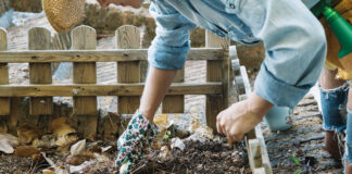 Агрономи назвали помилки дачників у листопаді, після яких земля стає безплідною