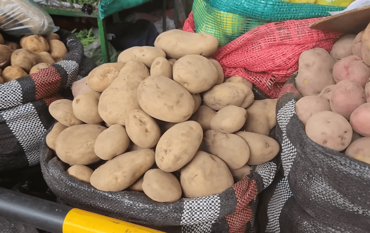 Городники назвали неврожайний сорт картоплі у 2025 