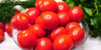 Господині розповіли, як обрати смачні помідори, орієнтуючись на шкірку 