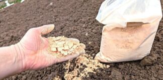 Агрономи назвали простий метод, який здатний оживити навіть найтвердішу землю