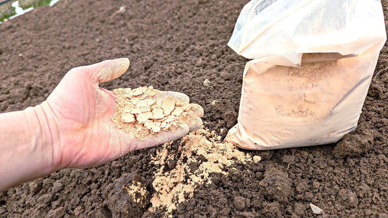 Агрономи назвали простий метод, який здатний оживити навіть найтвердішу землю