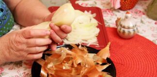 Господині розповіли, як нарізати цибулю без сліз