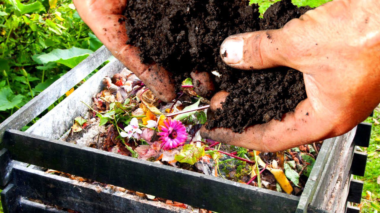 Садівники поділилися способом, який допоможе швидко зробити компост у мішках