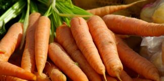 Дачники розповіли, як із легкістю зберегти моркву в ящиках до наступного літа