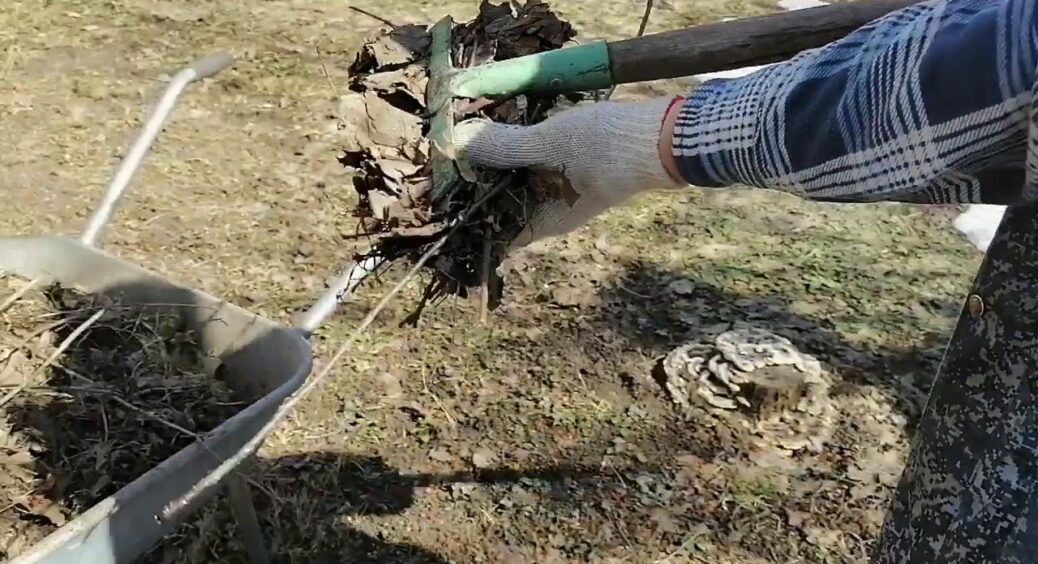 Ніколи не викидаю осіннє листя – воно найкраще добриво: ось як перетворити його на “чорне золото” для грядок 