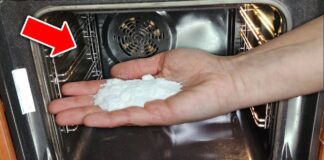Господині назвали дуже простий метод, як швидко очистити брудну духовку