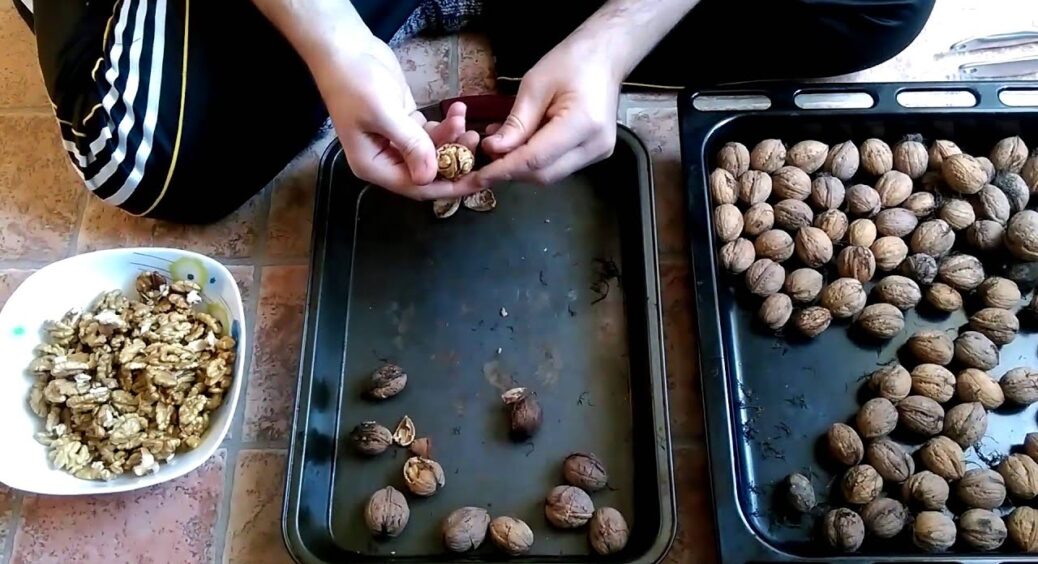 Підслухала у черзі на базарі, як швидко почистити волоські горіхи: 3 робочі способи для простоти процесу 